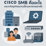 Cisco SMB คืออะไร เหมาะกับธุรกิจขนาดเล็กและกลางอย่างไร