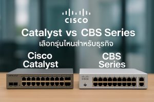 Cisco Catalyst vs CBS Series เลือกรุ่นไหนสำหรับธุรกิจ
