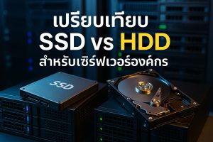 เปรียบเทียบ SSD vs HDD สำหรับเซิร์ฟเวอร์องค์กร