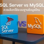 SQL Server vs MySQL ควรเลือกใช้ระบบฐานข้อมูลไหน