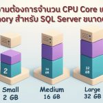 ความต้องการจำนวน CPU Core และ Memory สำหรับ SQL Server ขนาดต่างๆ