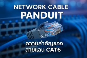 Network Cable และ Panduit: ความสำคัญของสายแลน CAT6