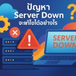 ปัญหา Server Down จะแก้ไขได้อย่างไร