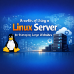 ประโยชน์ของการใช้ Linux Server ในการจัดการเว็บไซต์ขนาดใหญ่