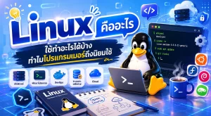 Linux คืออะไร ใช้ทำอะไรได้บ้าง ทำไมโปรแกรมเมอร์ถึงนิยมใช้
